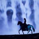 Cavalia Odysseo - Fall Chute