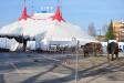 Circus Knie - Rapperswil 2011-03-25 16-56-44