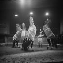 Circus Strassburger . Paardendressuur, Bestanddeelnr 903-1492